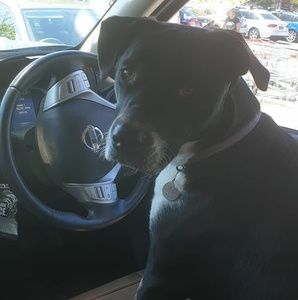 Meet your Posher, Fiona